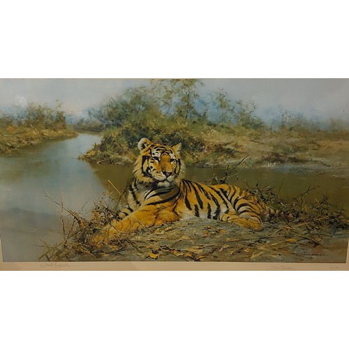 64 - After David Shepherd, Tiger In The Sun, limited edition print number 328/850, signed in pencil, 54cm... 