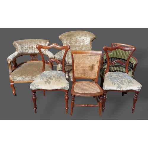 377 - A pair of William IV rosewood side chairs together with three armchairs and a cane seated low chair