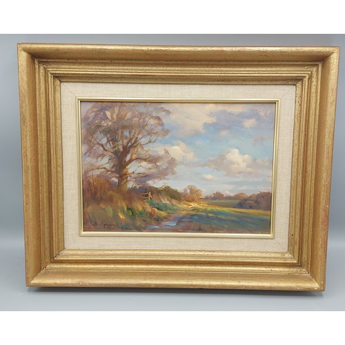 28 - Sally GAYWOOD, Evening Hue, oil on board, signed, 17cms by 25cms