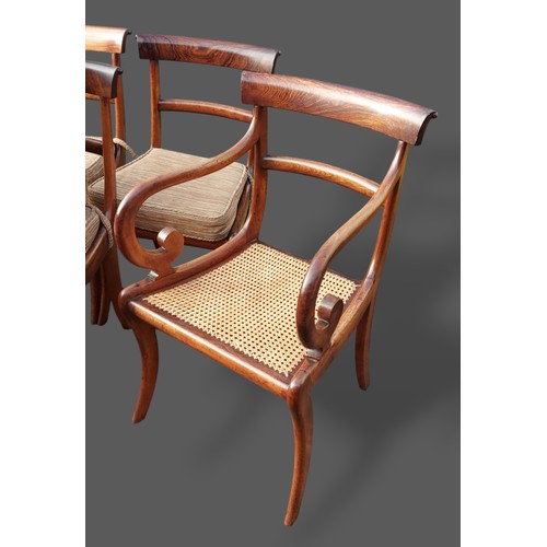 266 - A set of eight Regency Rosewood dining chairs, each with a rail back above a caned seat with cushion... 