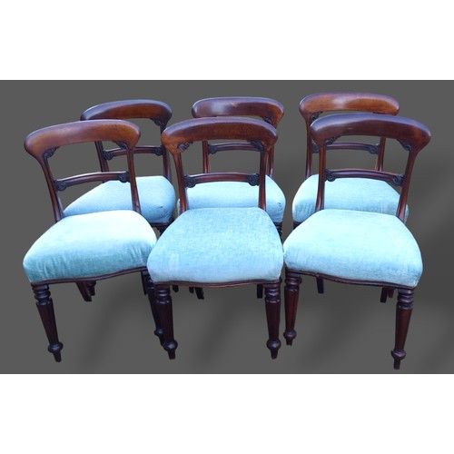 274 - A set of six William IV mahogany dining chairs, each with a carved rail back above a stuffover seat ... 