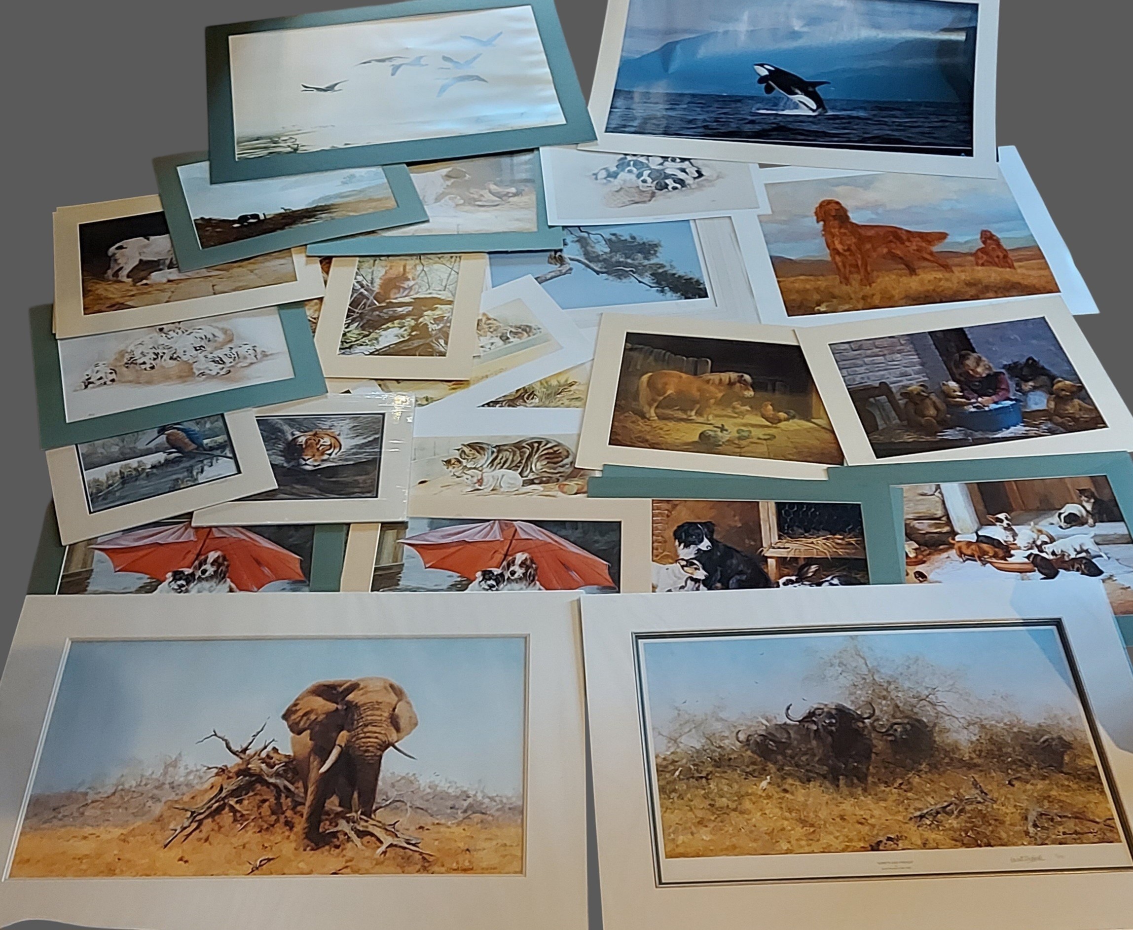 PLEASE COLLECT David Shepherd, Egrets and Friends, signed coloured ...