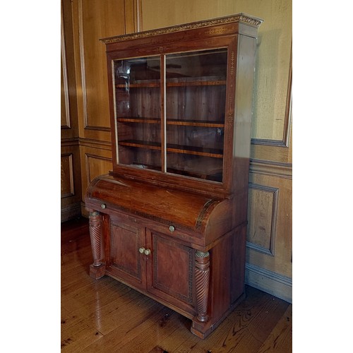 364 - A Regency Rosewood and brass inlaid cylinder bureau bookcase, the gilded moulded cornice above a rem... 