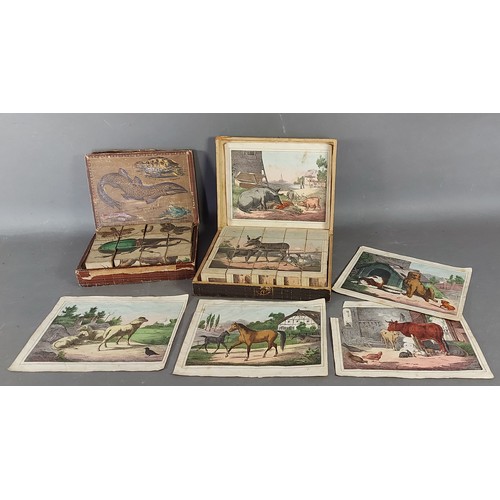 260 - A Victorian block Jigsaw puzzle depicting Natural History with insects and sea creatures together wi... 
