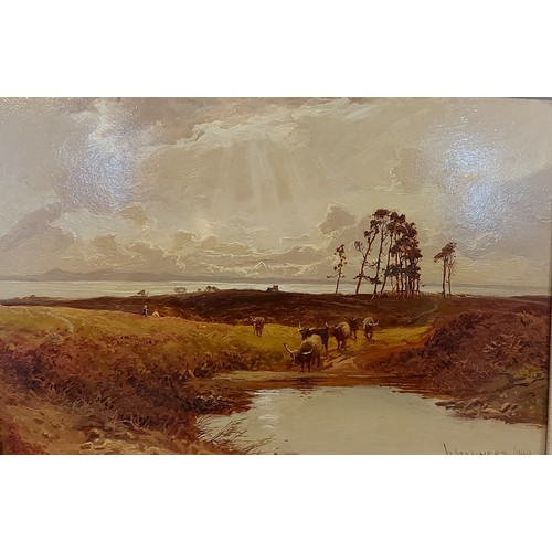 Lot 55        
