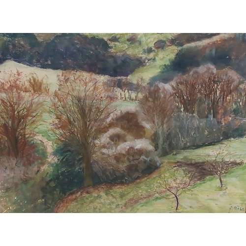 Lot 61        