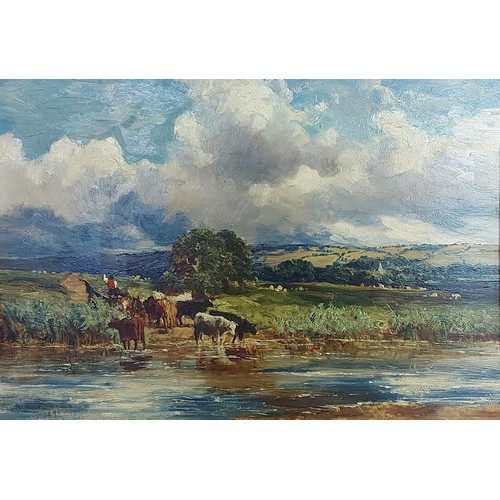 Lot 62        