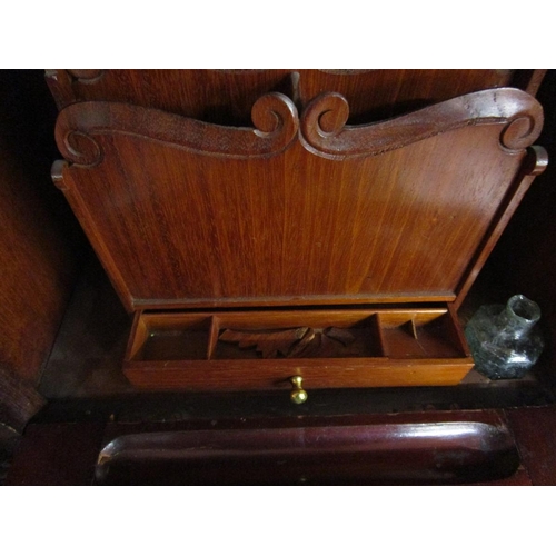 287 - Fine Victorian mahogany glazed stationary cabinet with interesting Anglo Indian carved panels - Appr... 