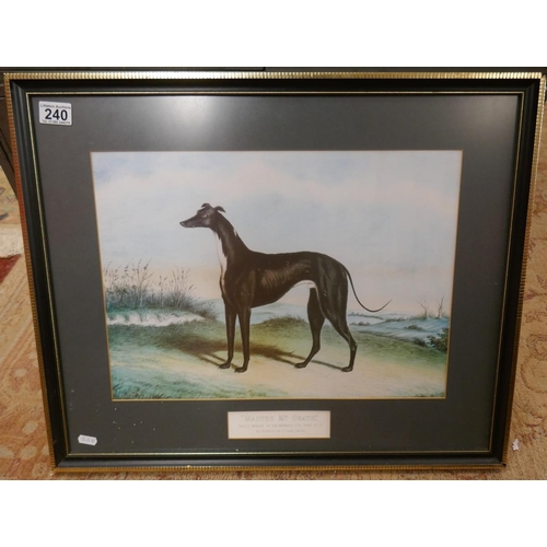 240 - Framed dog racing print - Master McGrath C1868