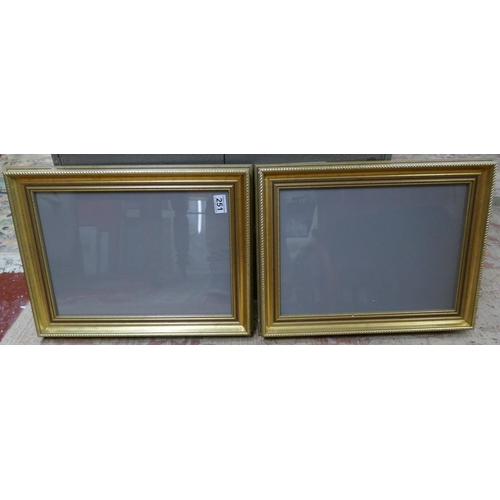 251 - Pair of glazed gilt frames