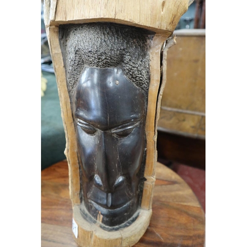 201 - Tribal head carved in to tree trunk