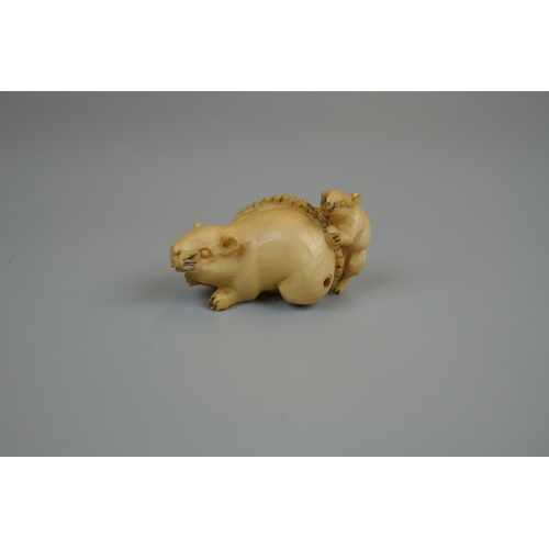 80 - Signed Ivory Netsuke of 2 rats - Meiji period (1868-1912)