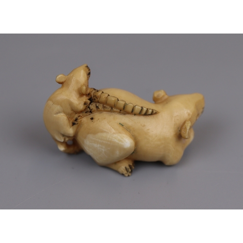 80 - Signed Ivory Netsuke of 2 rats - Meiji period (1868-1912)