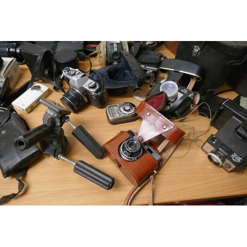 259 - Very large collection of camera equipment