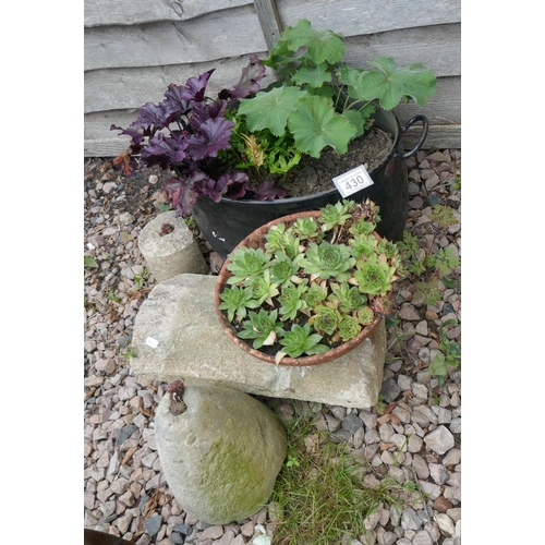 430 - Stone garden ornaments together with two planters with plants