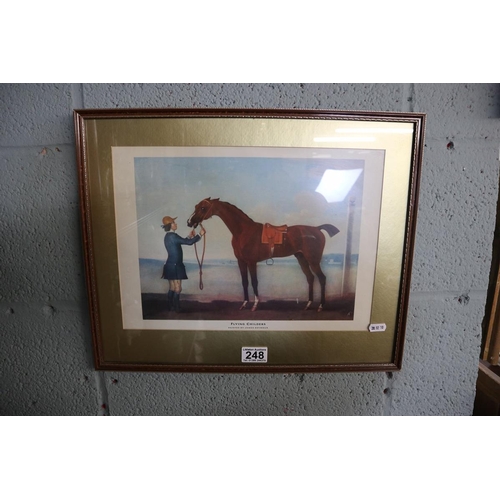 248 - 3 horse themed prints