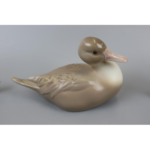 100 - Collection of bird figurines to include Lladro, Nao & Royal Copenhagen