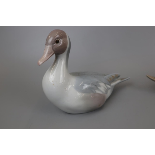 100 - Collection of bird figurines to include Lladro, Nao & Royal Copenhagen