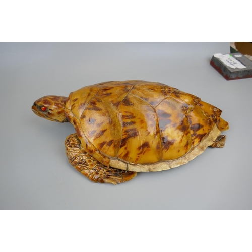 170 - Antique taxidermy turtle - Approx. L: 41cm