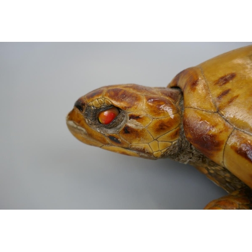 170 - Antique taxidermy turtle - Approx. L: 41cm