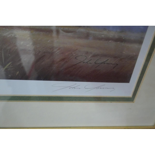 222 - L/E signed print with blind stamp - WWII Plane