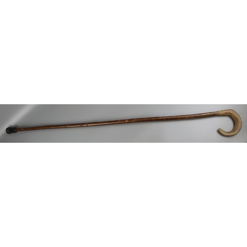 154 - Horn handled shepherd's crook