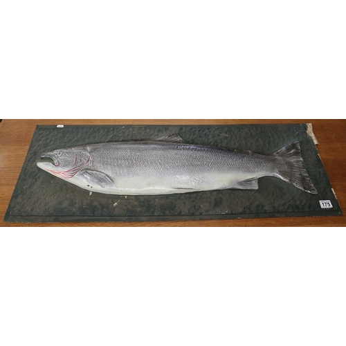 175 - Large fibre glass wall plaque depicting salmon - Approx. L: 106cm