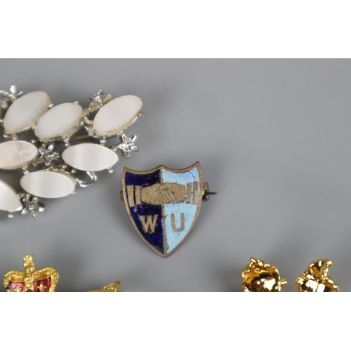 23 - Collection of brooches