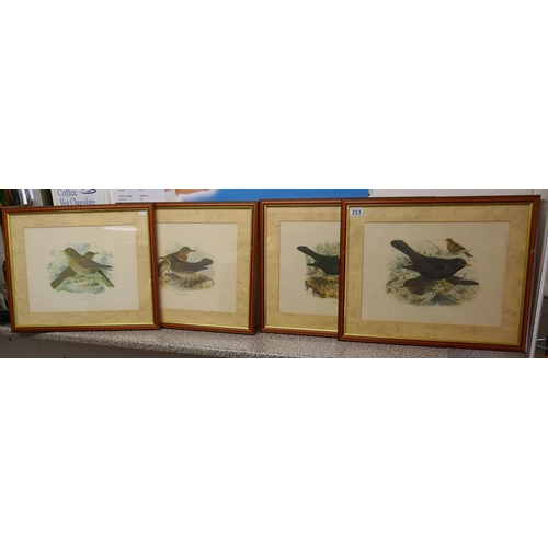 253 - 4 ornithological prints