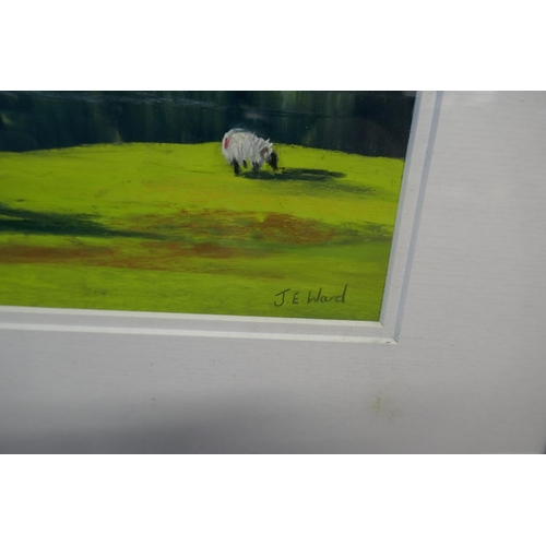 274 - Pastel rural scene signed J E Ward - Approx. IS 52cm x 34cm