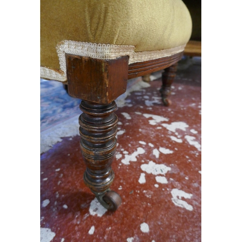 401 - Edwardian tub chair with gold fabric upholstery