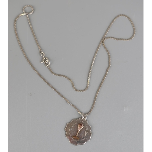 148 - Silver pendant with gold inlay on silver chain