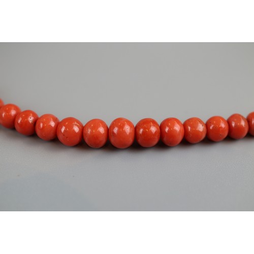 163 - Victorian coral necklace with gold clasp