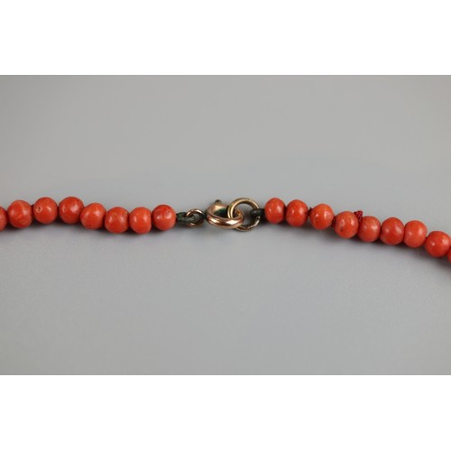 163 - Victorian coral necklace with gold clasp