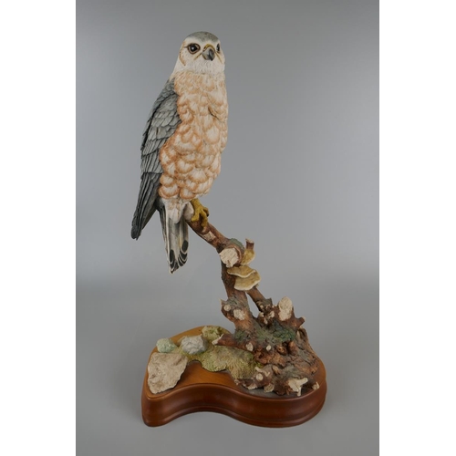 114 - Collection of 6 large ornamental bird figures