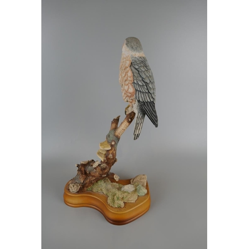 114 - Collection of 6 large ornamental bird figures