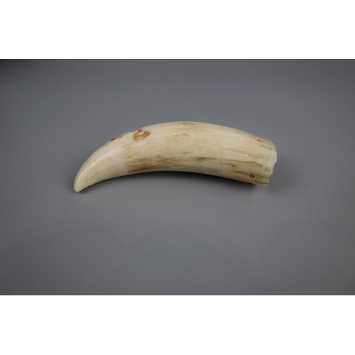 62 - Antique whale tooth pendant