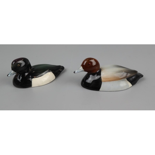 91 - Pair of Beswick tufted ducks, both approved by Peter Scott