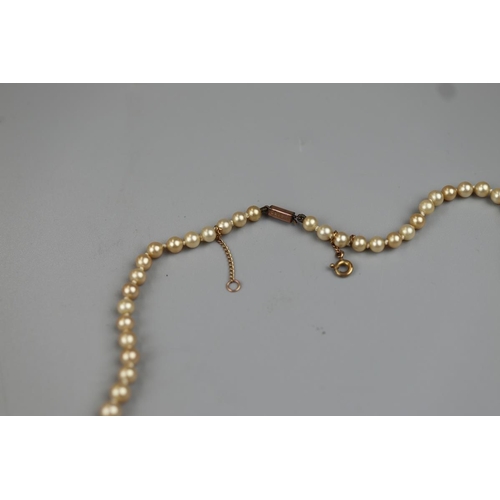 36 - Cultured pearl necklace with gold clasp