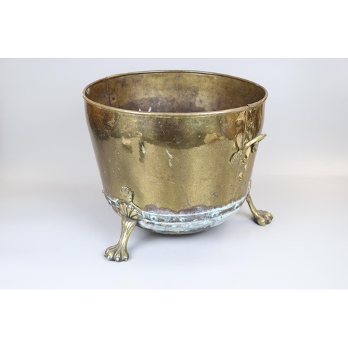 167 - Brass coal bucket on claw feet
