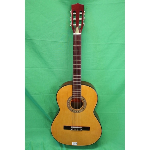 210 - Guitar in case - Lorenzo