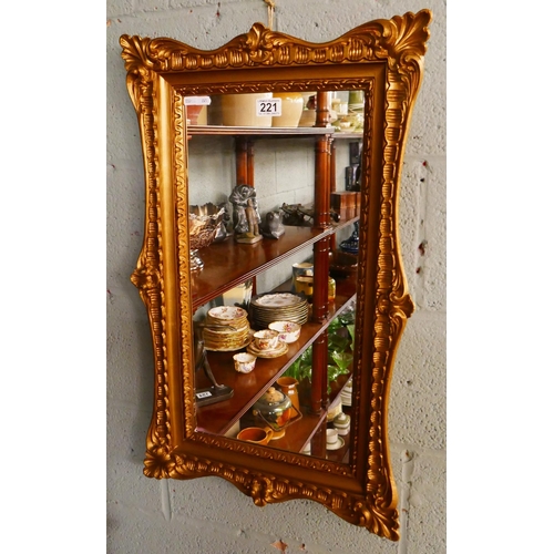 221 - Gilt framed mirror