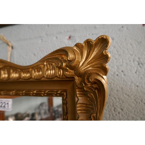 221 - Gilt framed mirror