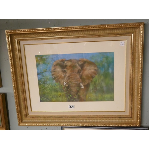 225 - Pastel of an elephant signed Joel Kirk - Approx. image size 48cm x 31cm