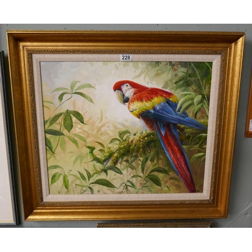 228 - Oil on canvas of a parrot by Natalie Gaston - Approx. image size 60cm x 50cm