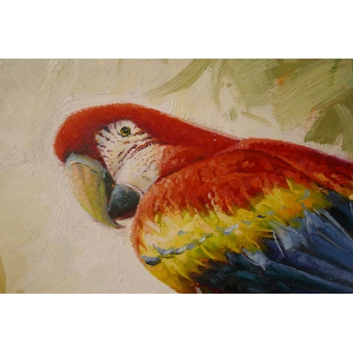 228 - Oil on canvas of a parrot by Natalie Gaston - Approx. image size 60cm x 50cm