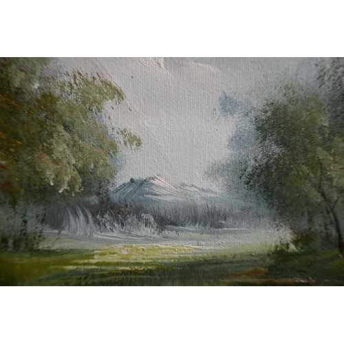 388 - Oil on canvas - Rural scene - Approx. image size 50cm x 60cm