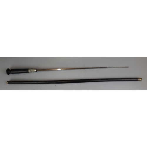 117 - Ebony sword stick