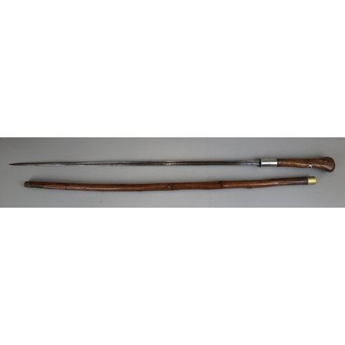 119 - Sword stick