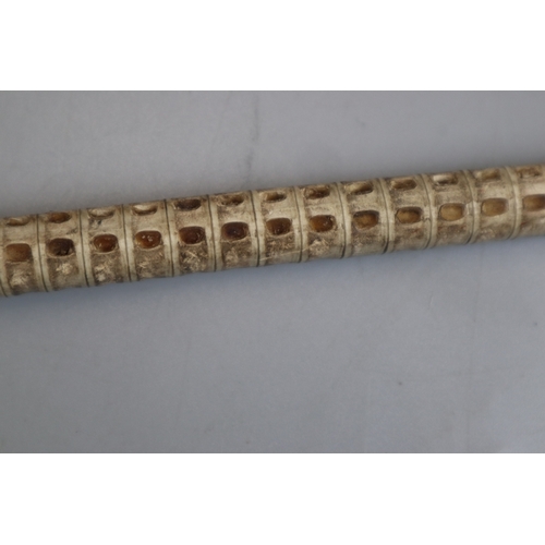 113 - Shark vertebrae swagger-stick